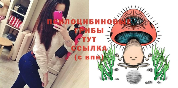 каннабис Арсеньев