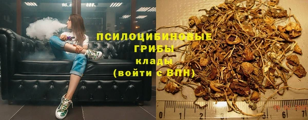 стаф Армянск