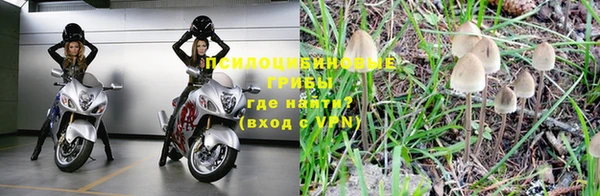 гидропоника Алексеевка