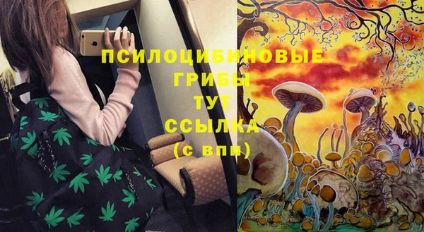 каннабис Арсеньев