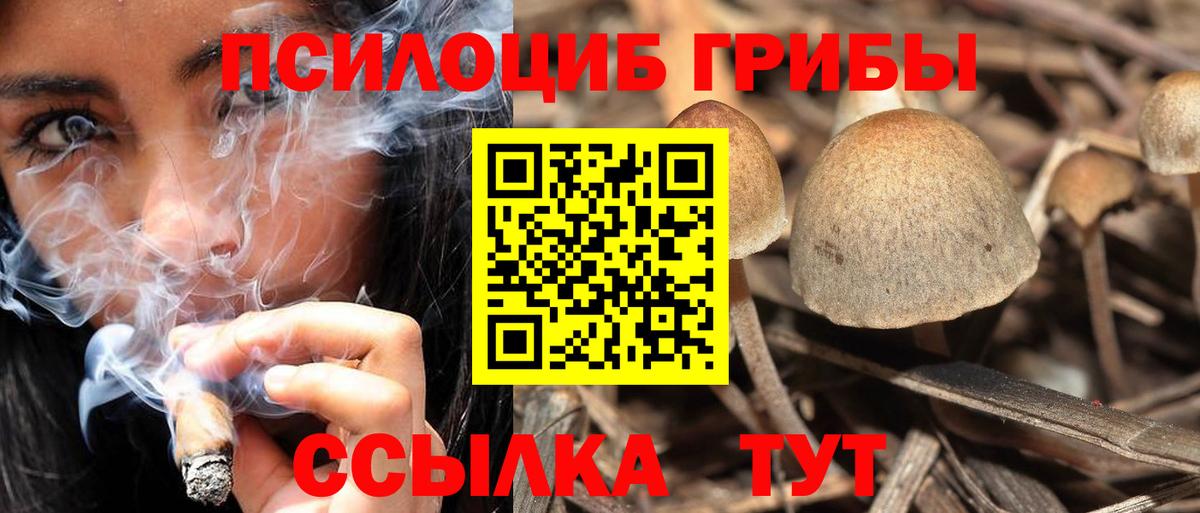 Псилоцибиновые грибы прущие грибы  Псилоцибиновые грибы прущие грибы  закладки  Вход с VPN  Лянтор 